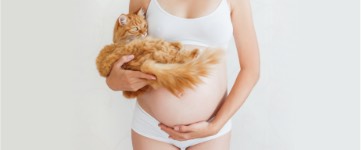 Toksoplazmoze grūtniecības laikā – kādi ir riski?