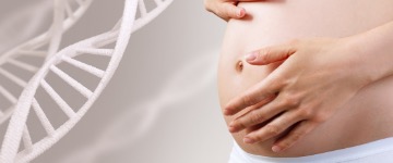 Патологический кариотип – как он влияет на фертильность?